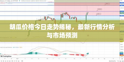 胡瓜價(jià)格今日走勢(shì)揭秘，最新行情分析與市場(chǎng)預(yù)測(cè)