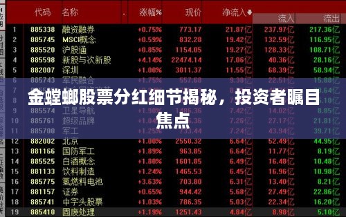 金螳螂股票分紅細(xì)節(jié)揭秘，投資者矚目焦點(diǎn)