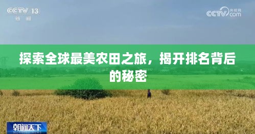 探索全球最美農(nóng)田之旅，揭開排名背后的秘密