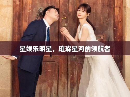 星娛樂(lè)明星，璀璨星河的領(lǐng)航者