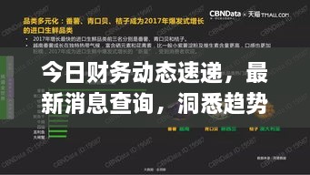 今日財(cái)務(wù)動(dòng)態(tài)速遞，最新消息查詢(xún)，洞悉趨勢(shì)，掌握財(cái)經(jīng)動(dòng)態(tài)