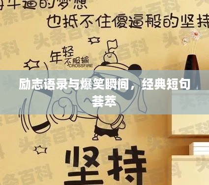 勵(lì)志語(yǔ)錄與爆笑瞬間，經(jīng)典短句薈萃