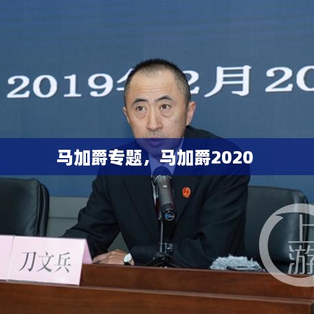 馬加爵專題，馬加爵2020 