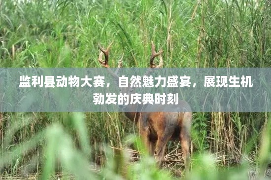 監(jiān)利縣動(dòng)物大賽，自然魅力盛宴，展現(xiàn)生機(jī)勃發(fā)的慶典時(shí)刻