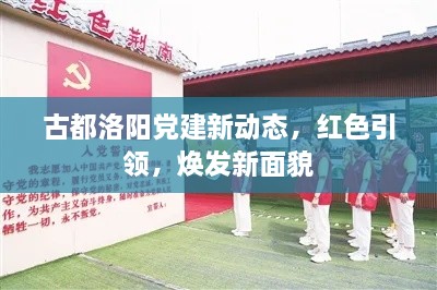 古都洛陽黨建新動態(tài)，紅色引領，煥發(fā)新面貌