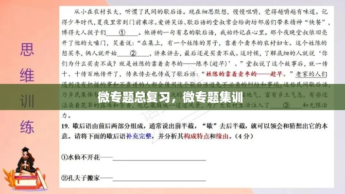 微專題總復習，微專題集訓 