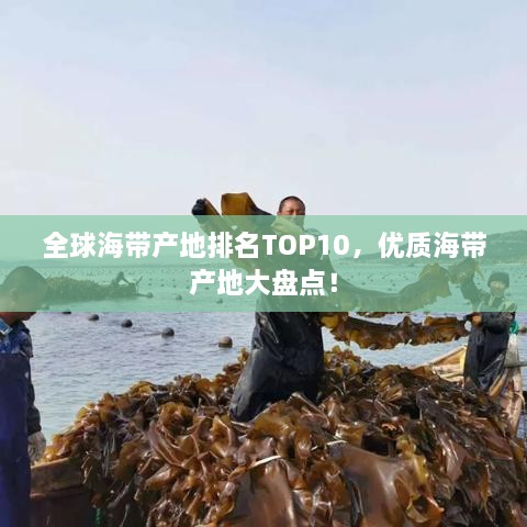 全球海帶產(chǎn)地排名TOP10，優(yōu)質(zhì)海帶產(chǎn)地大盤(pán)點(diǎn)！