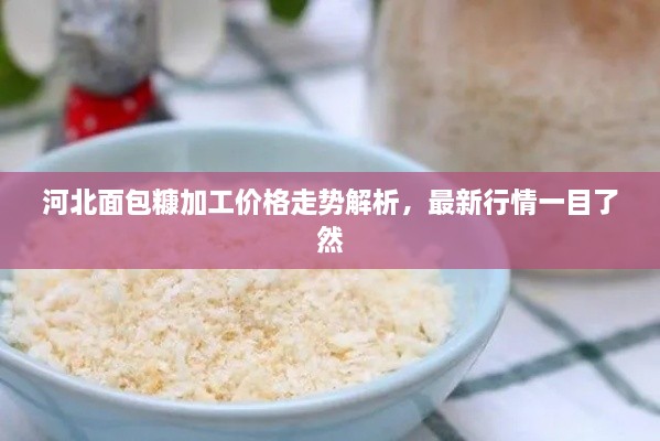 河北面包糠加工價格走勢解析，最新行情一目了然