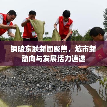 銅陵東聯(lián)新聞聚焦，城市新動向與發(fā)展活力速遞