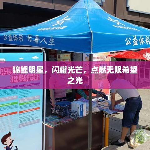 錦鯉明星，閃耀光芒，點(diǎn)燃無(wú)限希望之光