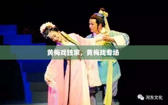 黃梅戲獨家，黃梅戲?qū)?