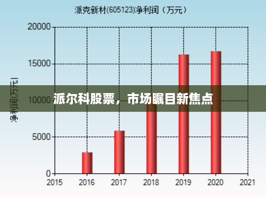 派爾科股票，市場矚目新焦點(diǎn)
