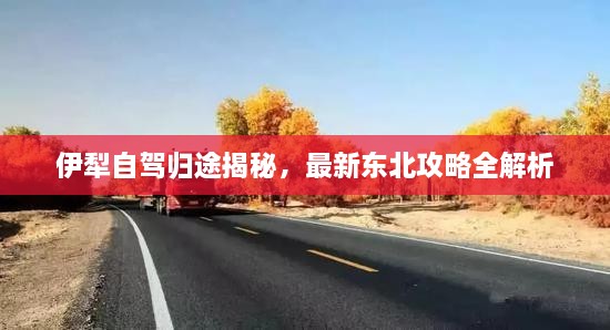 伊犁自駕歸途揭秘，最新東北攻略全解析