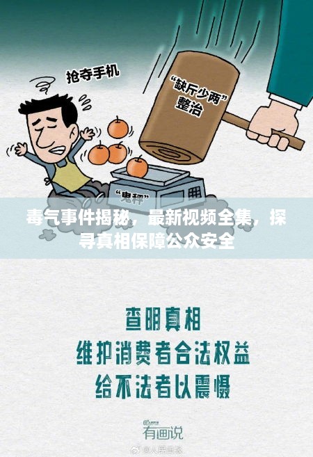 毒氣事件揭秘，最新視頻全集，探尋真相保障公眾安全