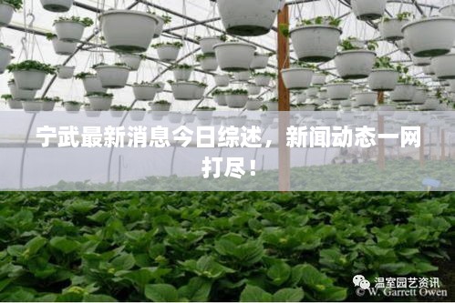 寧武最新消息今日綜述，新聞動(dòng)態(tài)一網(wǎng)打盡！