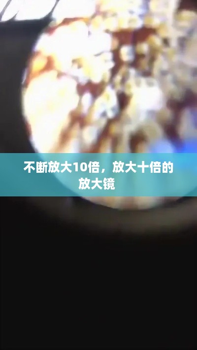 2025年2月1日