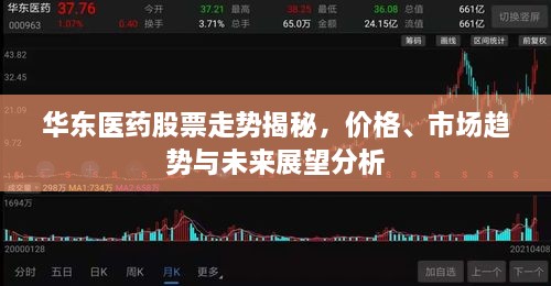 華東醫(yī)藥股票走勢(shì)揭秘，價(jià)格、市場(chǎng)趨勢(shì)與未來(lái)展望分析