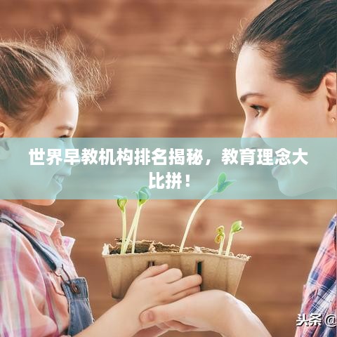世界早教機(jī)構(gòu)排名揭秘，教育理念大比拼！