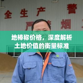 地棒稱價格，深度解析土地價值的衡量標(biāo)準(zhǔn)