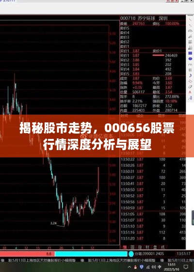 揭秘股市走勢(shì)，000656股票行情深度分析與展望