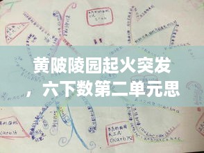黃陂陵園起火突發(fā)，六下數(shù)第二單元思維導(dǎo)圖 