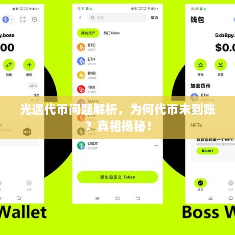 光遇代幣問題解析，為何代幣未到賬？真相揭秘！