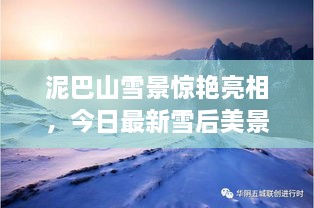 泥巴山雪景驚艷亮相，今日最新雪后美景報道！