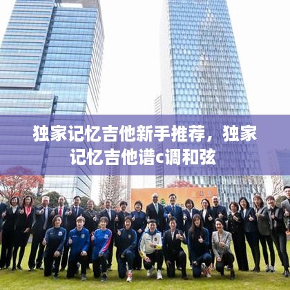 獨家記憶吉他新手推薦，獨家記憶吉他譜c調和弦 