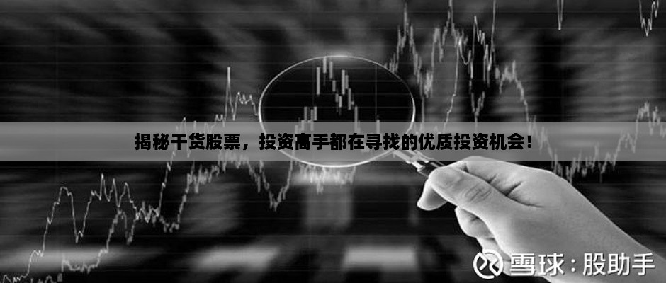 揭秘干貨股票，投資高手都在尋找的優(yōu)質(zhì)投資機(jī)會！