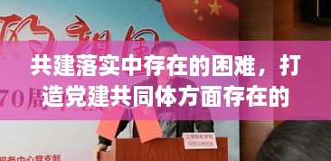 共建落實(shí)中存在的困難，打造黨建共同體方面存在的問(wèn)題 