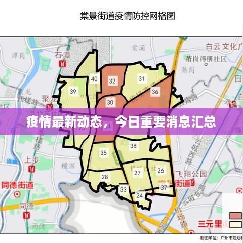 疫情最新動(dòng)態(tài)，今日重要消息匯總