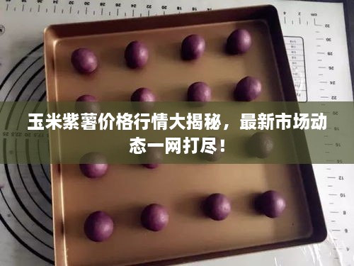 玉米紫薯價(jià)格行情大揭秘，最新市場(chǎng)動(dòng)態(tài)一網(wǎng)打盡！