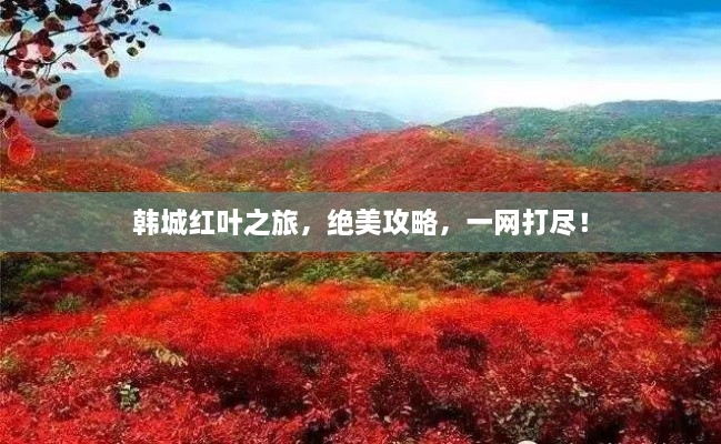 韓城紅葉之旅，絕美攻略，一網(wǎng)打盡！