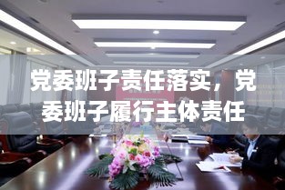黨委班子責(zé)任落實(shí)，黨委班子履行主體責(zé)任的建議 