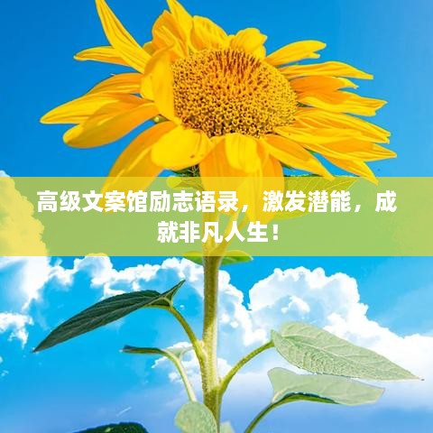 高級(jí)文案館勵(lì)志語(yǔ)錄，激發(fā)潛能，成就非凡人生！