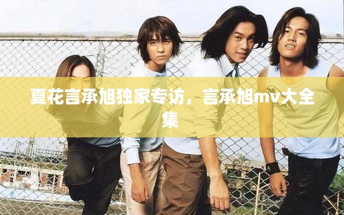 夏花言承旭獨(dú)家專訪，言承旭mv大全集 