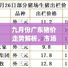 九月份廣東豬價走勢解析，市場行情、價格變動一網(wǎng)打盡
