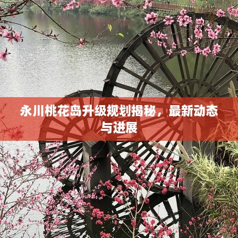 2025年2月6日 第10頁