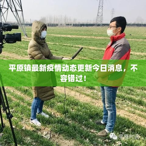 平原鎮(zhèn)最新疫情動態(tài)更新今日消息，不容錯過！