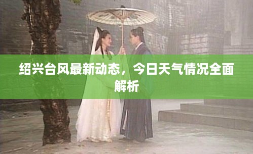 紹興臺風(fēng)最新動態(tài)，今日天氣情況全面解析