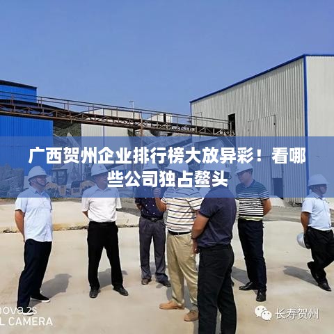 廣西賀州企業(yè)排行榜大放異彩！看哪些公司獨(dú)占鰲頭