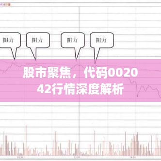 股市聚焦，代碼002042行情深度解析