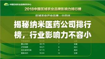 揭秘納米醫(yī)藥公司排行榜，行業(yè)影響力不容小覷！
