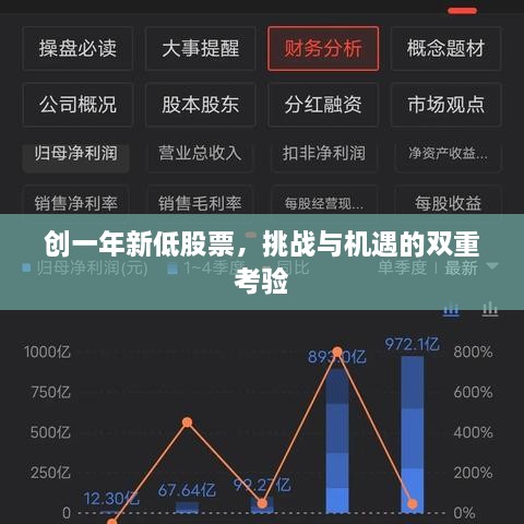 創(chuàng)一年新低股票，挑戰(zhàn)與機遇的雙重考驗