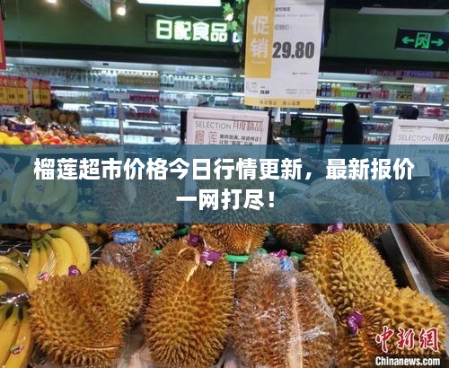 榴蓮超市價格今日行情更新，最新報價一網(wǎng)打盡！