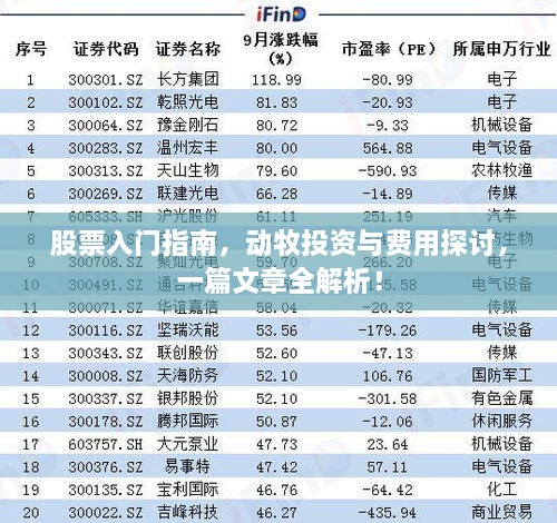 股票入門(mén)指南，動(dòng)牧投資與費(fèi)用探討，一篇文章全解析！