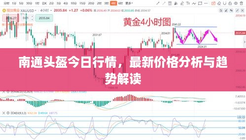 南通頭盔今日行情，最新價格分析與趨勢解讀