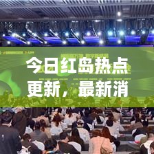 今日紅島熱點(diǎn)更新，最新消息一覽