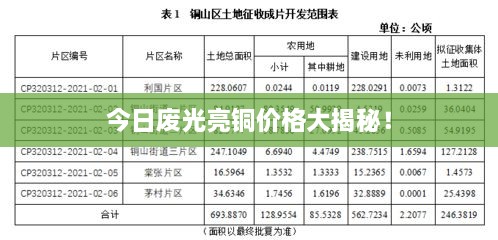 今日廢光亮銅價(jià)格大揭秘！