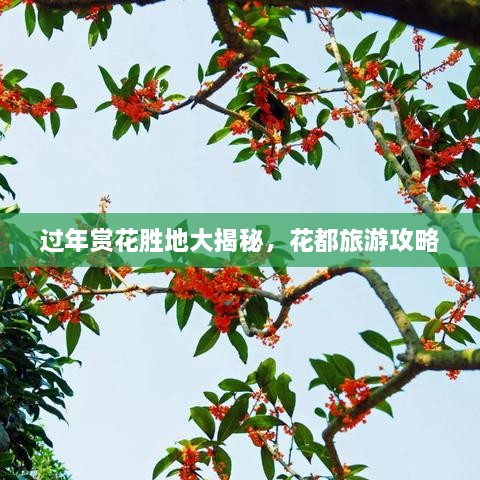 過年賞花勝地大揭秘，花都旅游攻略